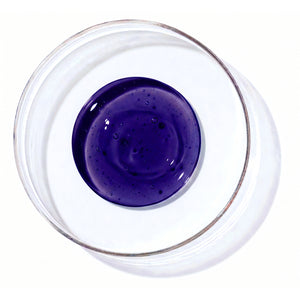 19 Pro Silver Serum סרום סגול לשיער בלונדיני, מובהר ואפור