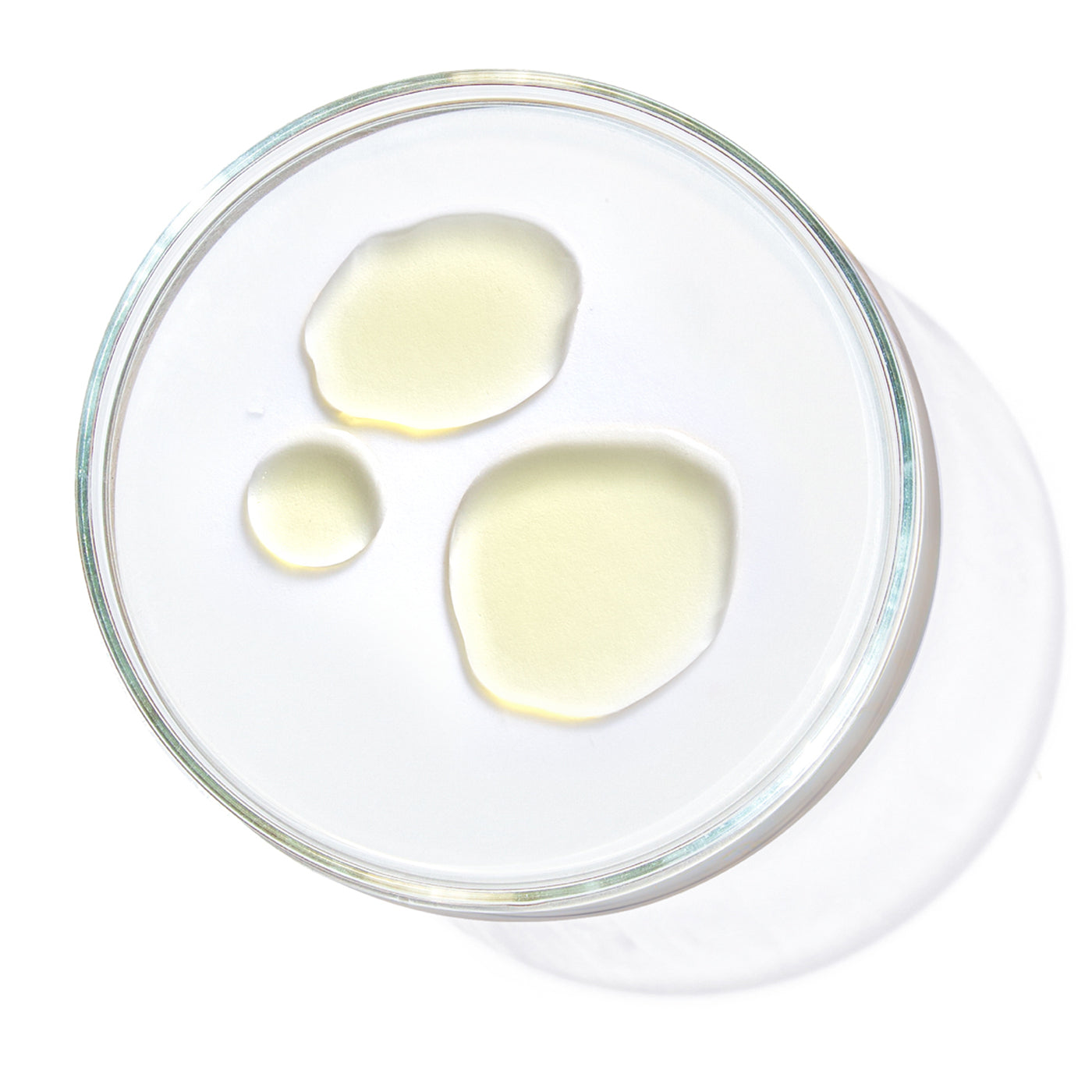 חומצה אזלאית (Azelaic Acid)