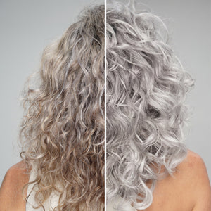 19 Pro Silver Shampoo שמפו סגול לשיער בלונדיני, מובהר, אפור ולבן