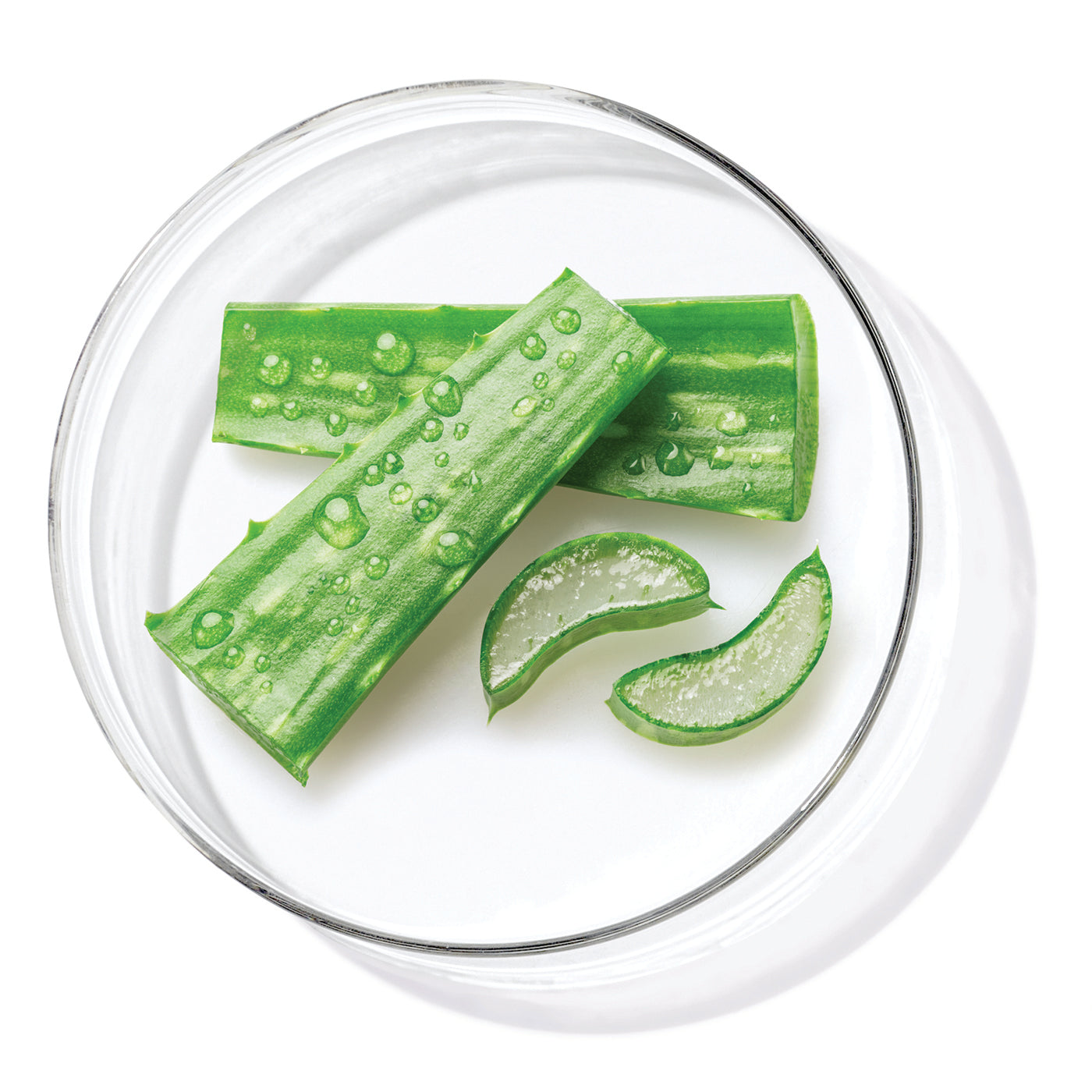 תמצית עלי אלוורה (Aloe Vera Leaf Water)